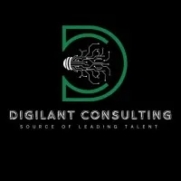 Digilant Consulting Services