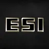 Engineered Structures, Inc. (ESI) Engineered Structures, Inc. (ESI)
