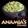 Anamia's Tex-Mex, Inc. Anamia's Tex-Mex, Inc.