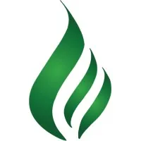 The Chappelle Group, Corporation The Chappelle Group, Corporation