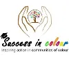 Success In Colour Success In Colour