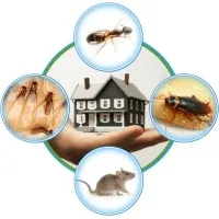 Paske Pest Control & Wildlife Solutions