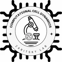 Lab of Computational Cell Dynamics