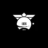 SEDS SRM-AP SEDS SRM-AP