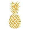 Pineapple Group FZE Pineapple Group FZE