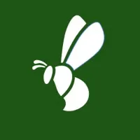 Lively Bee Studio