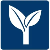 Cornerstone Sales Management