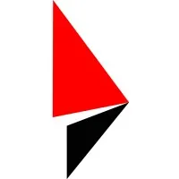Real Image Media Solutions