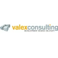 ValexConsulting, Inc. ValexConsulting, Inc.