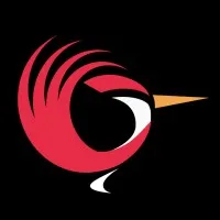 Pitico Studio Design