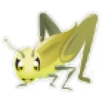 AutoCricket.com