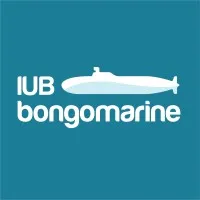 IUB BongoMarine
