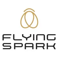 Flying Spark
