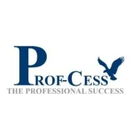 ProfCess 2.0