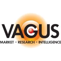 VagusMRI LLC
