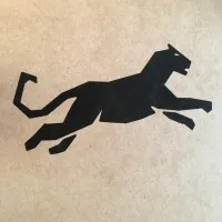 Panther Solutions Panther Solutions