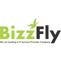 BizzFly