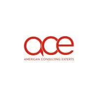American Consulting Experts (ACE) American Consulting Experts (ACE)