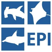 Elasmobranch Project Indonesia