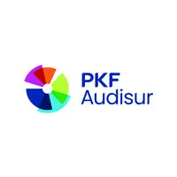 PKF Villagarcia & Asociados PKF Villagarcia & Asociados