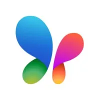 MSN