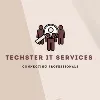 Techster IT Services Techster IT Services