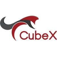 CubeX LLC