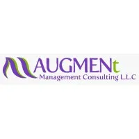 Augment Management Consulting L.L.C