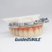 GuidedSMILE