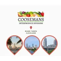 Coosemans Interproduce Divisions