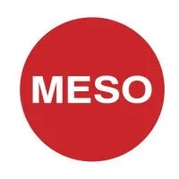 MESO PRIVATE LIMITED 