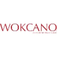 Wokcano Restaurant