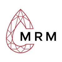 Montepuez Ruby Mining Montepuez Ruby Mining