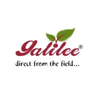 Galilee Export
