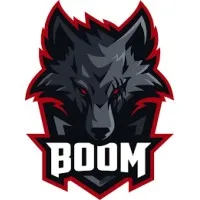 BOOM Esports BOOM Esports