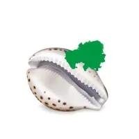 Savings and Development Dialogue Ghana (SDD Ghana)