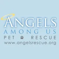 Angels Among Us Pet Rescue Angels Among Us Pet Rescue