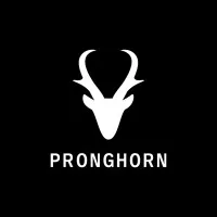Pronghorn