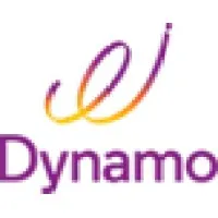 DYNAMO INFO TECHNOLOGIES LLC