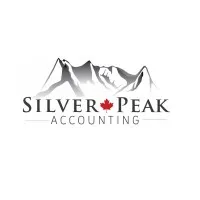 Silver Peak Accounting