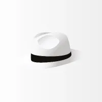 White Hat Gaming