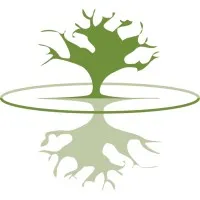 Diamond Head Consulting Ltd.