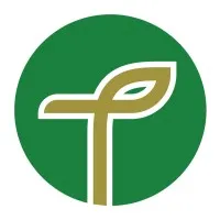 Talashim