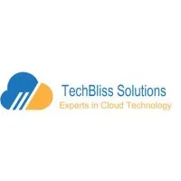 TechBliss Solutions