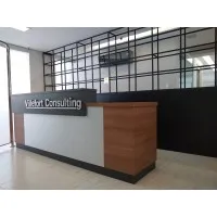 Villefort Consulting