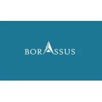 Borassus Infotech, Inc