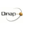 DINAP SRL