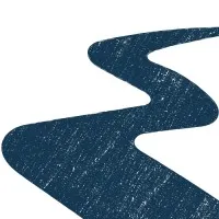 The Professional Path The Professional Path