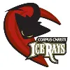 Corpus Christi IceRays Corpus Christi IceRays