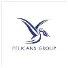 Pelicans Group Pelicans Group